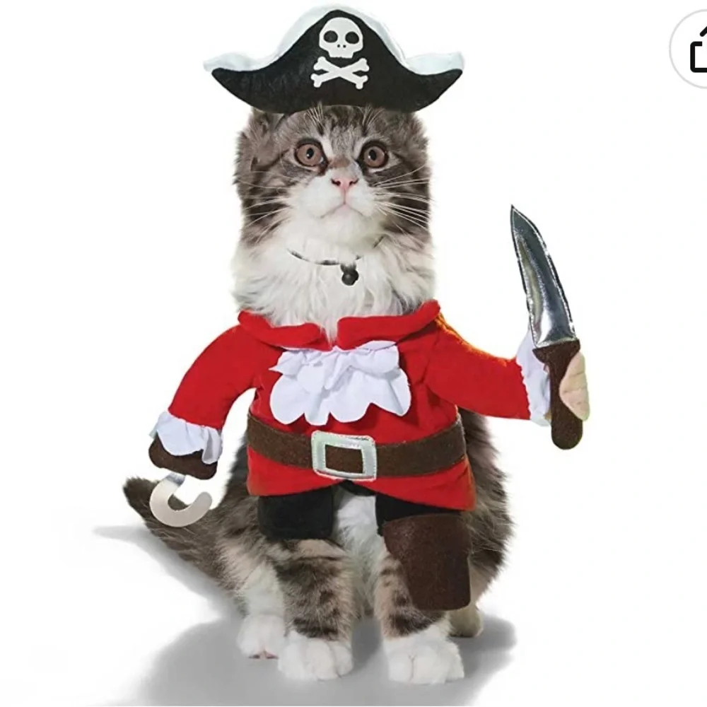 NWT Bootique Pirate cat costume S/M